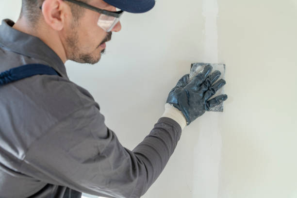 Best Mold Odor Removal Services  in New Britain, CT