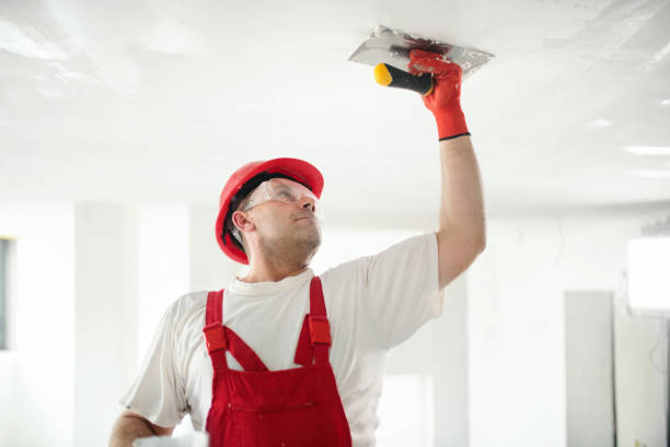 Best Black Mold Removal  in New Britain, CT