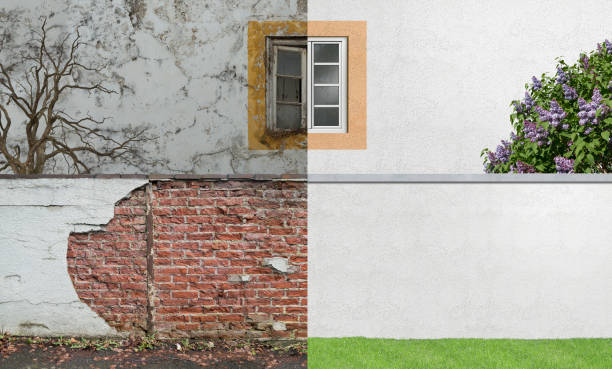 Best Industrial Mold Remediation  in New Britain, CT