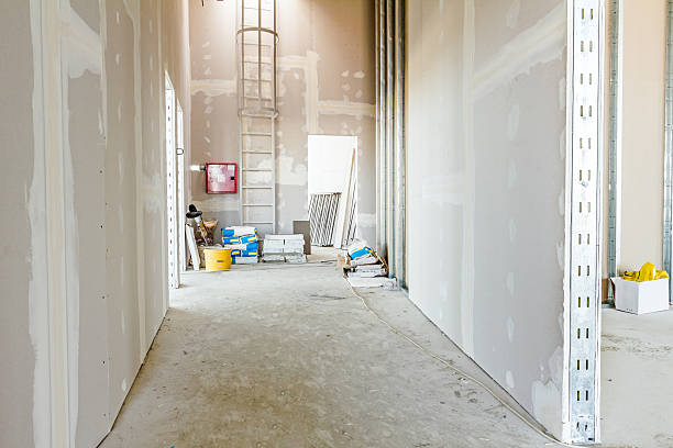 Best Commercial Mold Inspection  in New Britain, CT